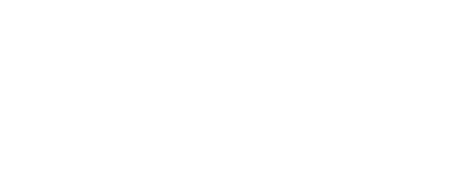 Prestige Roof Painting
